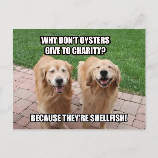 Laughing Golden Retriever Funny Shellfish Joke Postkarte (Vorderseite)