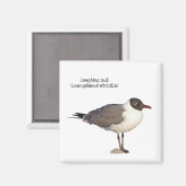 Laughing Gull Magnet (Vorderseite/Rückseite)