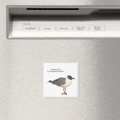 Laughing Gull Magnet (In Situ (Geschirrspüler))