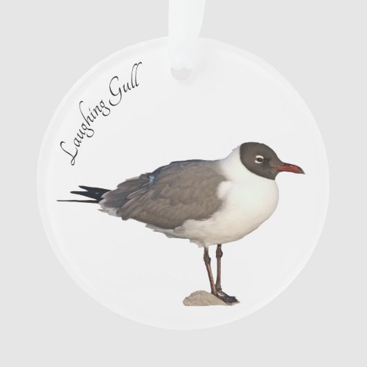 Laughing Gull Ornament (Vorderseite)