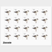 Laughing Gull Quadratischer Aufkleber (Blatt)