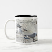 Laughing Gulls 11 Oz Tasse (Links)