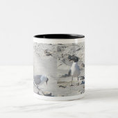 Laughing Gulls 11 Oz Tasse (Mittel)