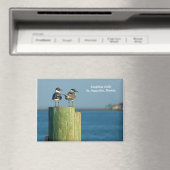 Laughing Gulls Magnet (In Situ (Geschirrspüler))