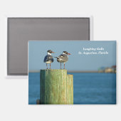 Laughing Gulls Magnet (Vorderseite/Rückseite)