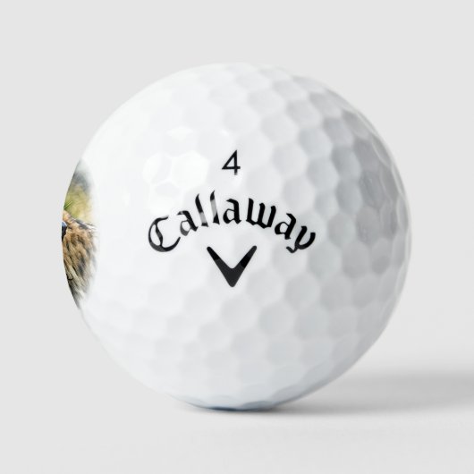 Laughing Hyena Golfball (Logo)