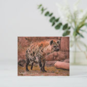 Laughing Hyena: Postcard Postkarte (Stehend Vorderseite)