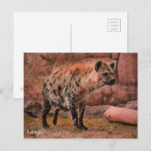 Laughing Hyena: Postcard Postkarte (Vorne/Hinten)