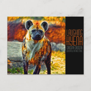 Laughing hyena [Postcard] Postkarte