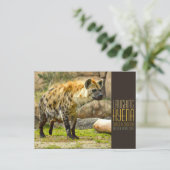 Laughing hyena [Postcard] Postkarte (Stehend Vorderseite)