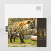 Laughing hyena [Postcard] Postkarte (Vorne/Hinten)