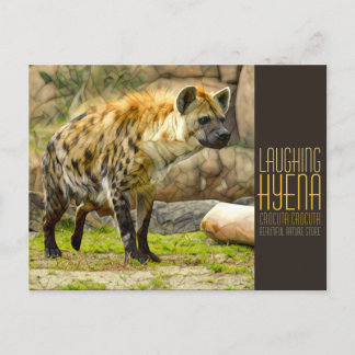 Laughing hyena [Postcard] Postkarte