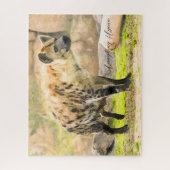 Laughing Hyena Puzzle (Vertikal)