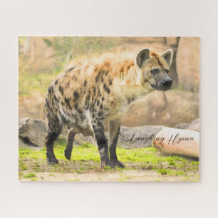 Laughing Hyena Puzzle