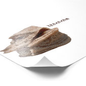 Laughing Iguana HeHe Lizard Fotodruck (Ecke)