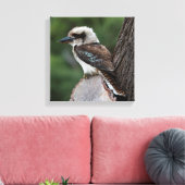 Laughing Kookaburra Australia Bird Leinwanddruck (Insitu (Wohnzimmer))