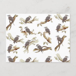 Laughing Kookaburra Australian Bird Eucalyptus Feiertagspostkarte