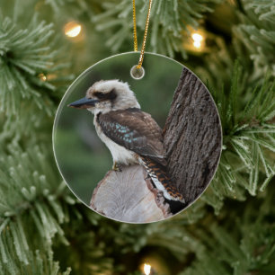 Laughing Kookaburra Bird Animal Tree Keramik Ornament