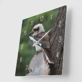 Laughing Kookaburra Bird Animal Tree Quadratische Wanduhr (Winkel)