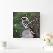 Laughing Kookaburra Bird Animal Tree Quadratische Wanduhr (Zuhause)
