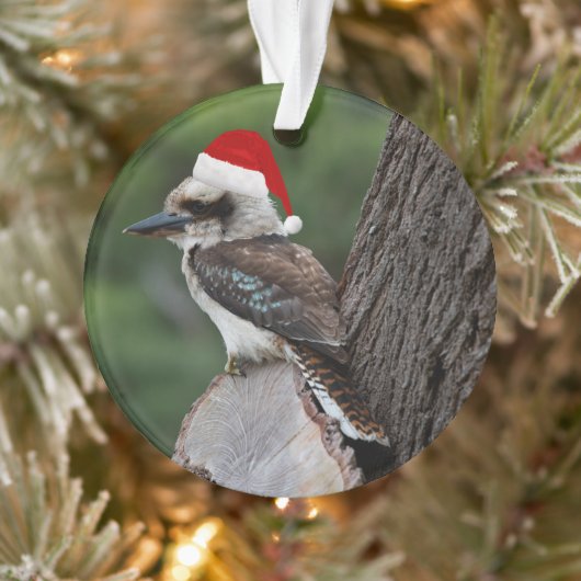 Laughing Kookaburra Bird Weihnachts Rote Weihnacht Ornament (Baum)