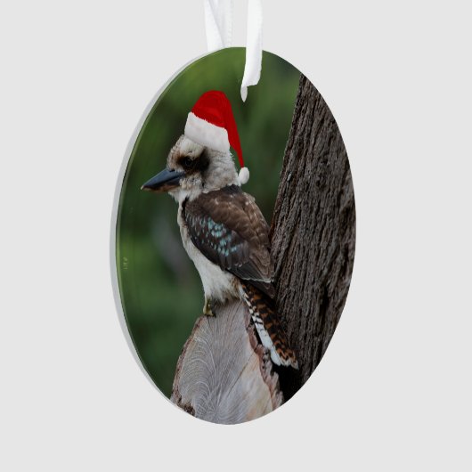 Laughing Kookaburra Bird Weihnachts Rote Weihnacht Ornament (Vorderseite)