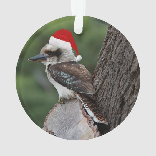 Laughing Kookaburra Bird Weihnachts Rote Weihnacht Ornament (Rückseite)