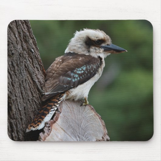 Laughing Kookaburra Mousepad (Vorne)