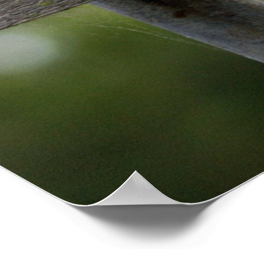 Laughing Kookaburra Poster (Ecke)