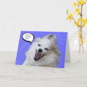 Laughing Long Hair Chihuahua by Focus for a Cause Karte (Gelbe Blume)