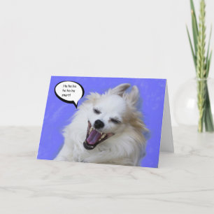 Laughing Long Hair Chihuahua by Focus for a Cause Karte