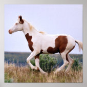 Laughing Maiden Poster (Vorne)