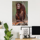 Laughing Orangutan Poster (Heimbüro)