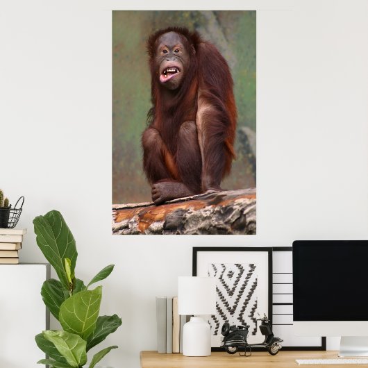Laughing Orangutan Poster (Heimbüro)