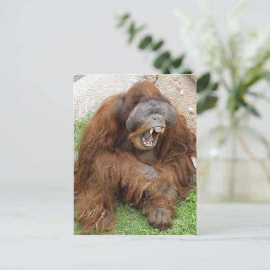Laughing Orangutan Postkarte (Stehend Vorderseite)