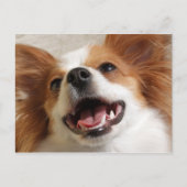 Laughing Papillon Dog Postkarten (Vorderseite)
