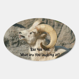 Laughing Rocky Mountain Bighorn Sheep Ovaler Aufkleber