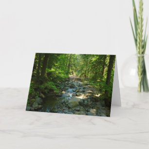 Laughingwater Creek im Mount Rainier National Park Karte