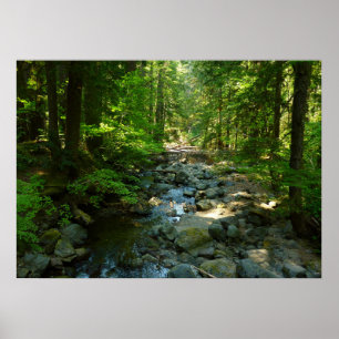 Laughingwater Creek im Mount Rainier National Park Poster