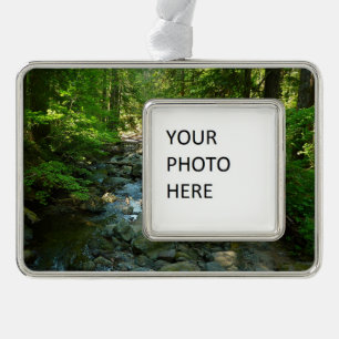 Laughingwater Creek im Mount Rainier National Park Rahmen-Ornament Silber
