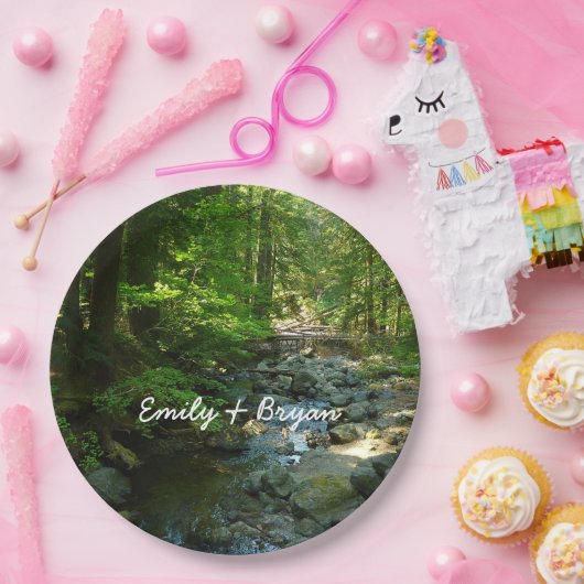 Laughingwater Crew am Monte Rainier Nationalpark Pappteller (Party)