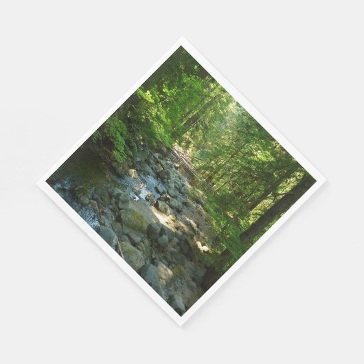 Laughingwater Crew am Monte Rainier Nationalpark Serviette (Ecke)