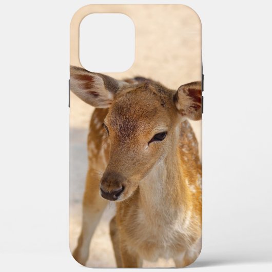 Launenhafte Waldhirschfotografie Case-Mate iPhone Hülle (Rückseite)