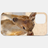Launenhafte Waldhirschfotografie Case-Mate iPhone Hülle (Rückseite (Horizontal))