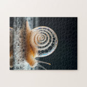 Launige Blasige Schnecke Puzzle (Horizontal)