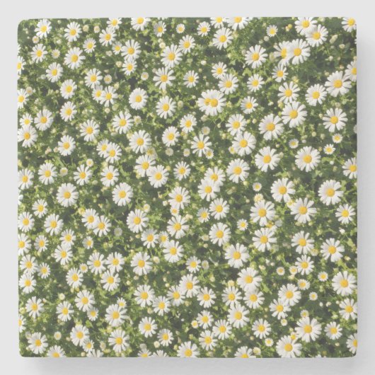Launische Daisy-Wiesen-Getränkeuntersetzer-Set Steinuntersetzer (Vorderseite)