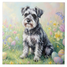 Launischer Schnauzer mit Ostereiern