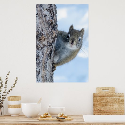 Launisches Grauhörnchen Poster (Küche)