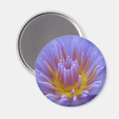 Laura Frase Magnet (Vorderseite/Rückseite)