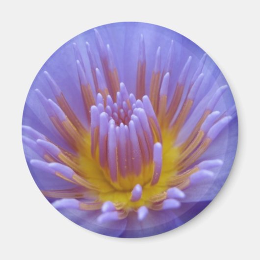 Laura Frase Magnet (Vorne)